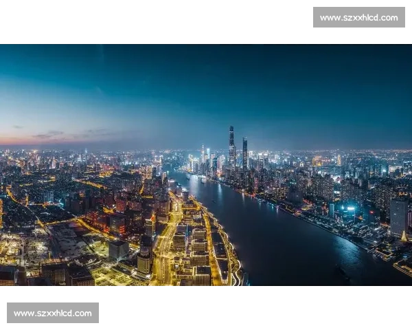 上海vs武汉城市实力全景对比经济科技文化与未来竞争 上海vs武汉城市实力全景对比经济科技文化与未来竞争